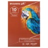 Альбом для пастели А4 Brauberg Art Classic Терракота 10 листов, 630 г/м2, картон 105922