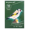Альбом для пастели А4 Brauberg Art Classic Зеленый 10 листов, 630 г/м2, картон 105920