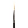 Кисть художественная Brauberg Art Classic колонок, лайнер, № 00, короткая ручка 200940