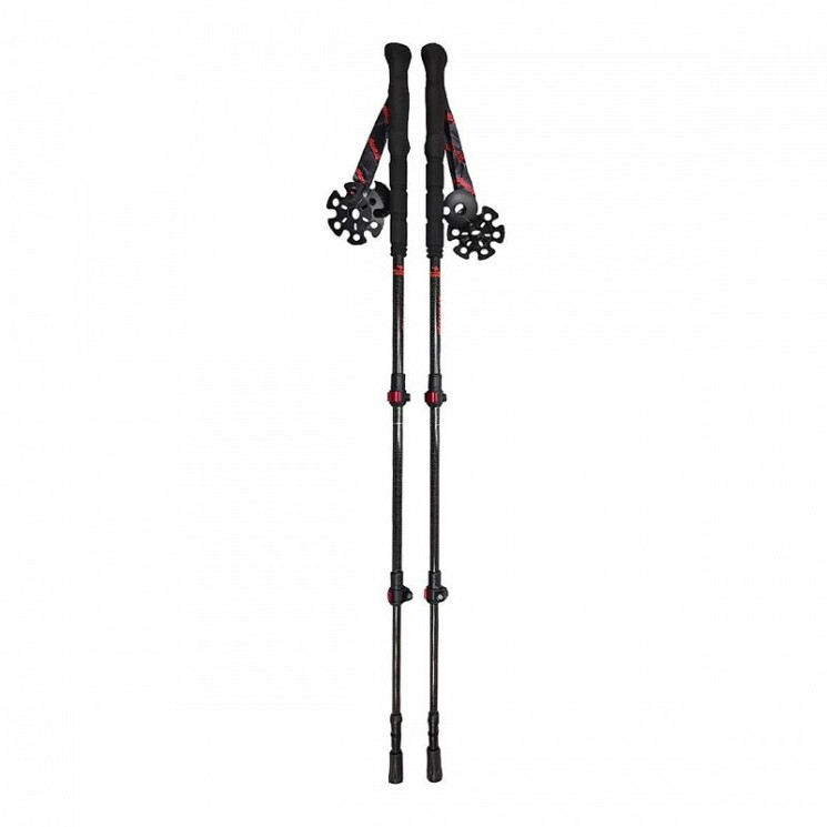 Палки треккинговые Tramp Carbon TRR-015