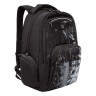 Рюкзак Grizzly анатомический, 2 отделения, BE COOL, 42х32х22 см, RU-333-1/3