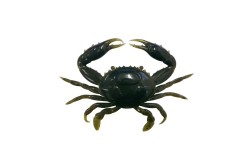 Приманка краб Nikko Super Crab 6" цвет CO4 Natural