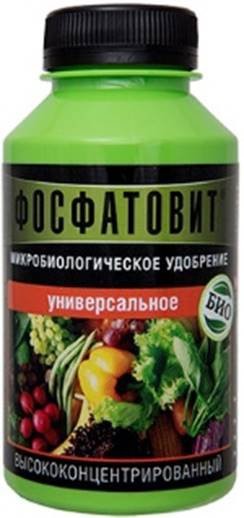 Биоудобрение Фосфатовит универсальное для комнатных и садовых растений Ф10272