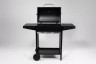 Гриль стационарный GoGarden Grill-Master 62 50142