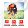 Коврик для мыши Sonnen Buddy 513311