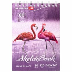 Скетчбук А5+ Brauberg Art Debut 80 листов, 120 г/м2 112990