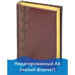 Ежедневник недатированный А6, Brauberg Cayman 160 листов 125103