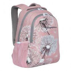 Рюкзак Grizzly анатомический, 2 отделения, DANDELION, 42х31х18 см, RD-242-1/2