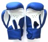 Перчатки для кикбоксинга Realsport 10 унций RS210