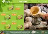Запарка для бани Банные штучки Трава чабреца 20 фильтр-пакетов 30016