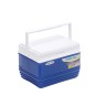 Изотермический контейнер Pinnacle Eskimo 4.5 л TPX-6006-4.5-NB