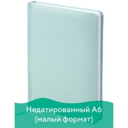 Ежедневник недатированный А6 Brauberg Profile 136 листов 111692