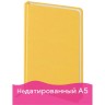 Ежедневник недатированный А5 Brauberg Select 160 листов 111662