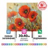 Алмазная мозаика 30х40 см Остров Сокровищ Маки без подрамника 662575