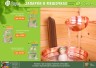 Запарка для бани Банные Штучки Эвкалипт в мешочке 30 г 32164