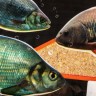 Прикормка Premier Fishing Премиум Карп-Карась 900г PR-P-СС