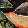 Прикормка Premier Fishing Премиум Лещ Река 900г PR-P-BR