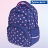 Рюкзак Brauberg Motion, 2 отделения, 3 кармана, Pawprints, 41х28х17 см, 271362