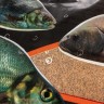 Прикормка Premier Fishing Премиум Плотва 900г PR-P-R