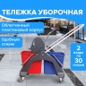 Тележка уборочная Brabix, 2 съемных ведра 30 л, механ. отжим, пластик. каркас, фикс. ручка, 606661
