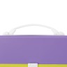 Папка портфель А4 для документов пластиковая Brauberg Joy 13 отделений 227977