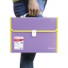 Папка портфель А4 для документов пластиковая Brauberg Joy 13 отделений 227977