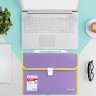 Папка портфель А4 для документов пластиковая Brauberg Joy 13 отделений 227977