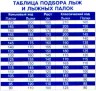Беговые лыжи STC (лыжи, крепления 75мм, палки) 200 см