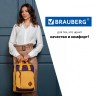 Рюкзак городской Brauberg Friendly 17 л 270093