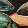Прикормка Premier Fishing Премиум Универсальная 900г PR-P-U