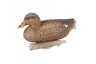 Чучело утки Кряква (6 шт) Flambeau Stormfront Classic Mallard 8036SUV