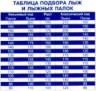 Лыжный комплект VISU (лыжи, палки, креплен. 75мм) 195 см step