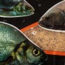 Прикормка Premier Fishing Премиум Фидер Река 900г PR-P-FR