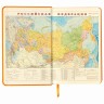 Ежедневник недатированный А5 Brauberg Imperial 160 листов 111856