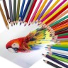 Карандаши цветные пластиковые Brauberg Premium 36 цветов 3 мм 181669