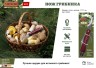 Нож грибника Boyscout 61922