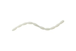Приманка личинка Nikko Fly Larvae SS 52мм цвет White, 50 шт
