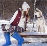 Женские зимние сапоги с меховым вкладышем до -40 ЭВА, противоскользящая  подошва ТЭП Онега Torvi синие