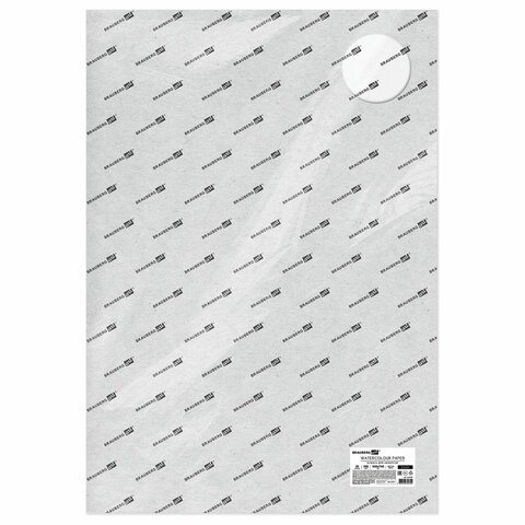 Бумага для акварели 560x760 мм Brauberg Art Premiere 10 листов, 300 г/м2 крупное зерно 113239