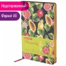 Ежедневник недатированный А5 Brauberg Vista Fruit story 136 листов 112024