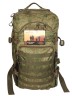 Рюкзак тактический Woodland Armada - 4 (45 л)