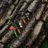 Мини блесна вертушка Premier Fishing Micro-spini 2г, цвет РЧ розово-черный