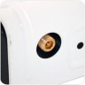 PF-GST-DM01_3.jpg