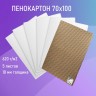 Пенокартон матовый, 70х100 см, толщина 10 мм, белый, к-т 5 л, Brauberg, 112476 112476